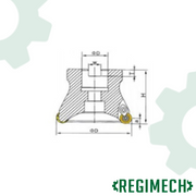 REGIMECH™ | FRESA A MANICOTTO EMR Ø 50/63/80/100 mm, TAGLENTI 4/6 F